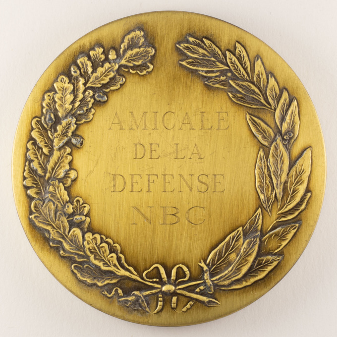 NBC Defense Friendly Medal - Pr Georges Lochak - November 17, 2009 - obverse
