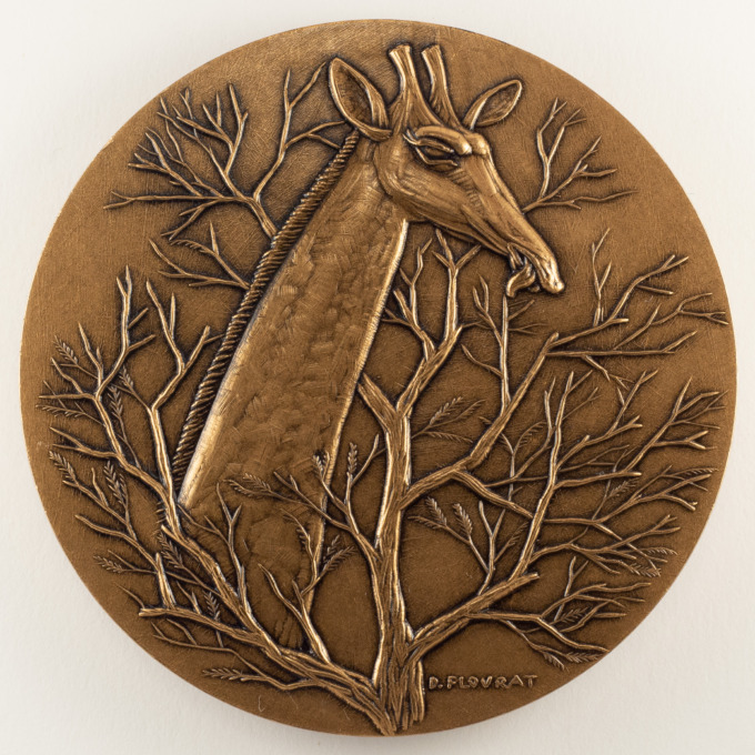 Animal medallion - Giraffe - signed Daniel Flourat - obverse