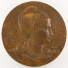 Médaille Assemblée nationale élit M. Carnot Pdt de la République - par Bourgeois - avers