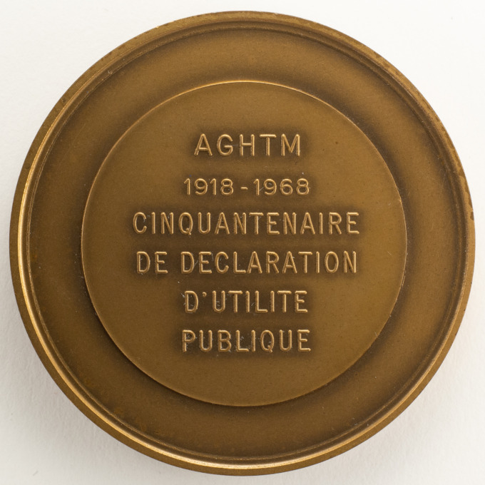 Médaille Association des Hygiénistes et Techniciens municipaux - par Léon Lamer - revers